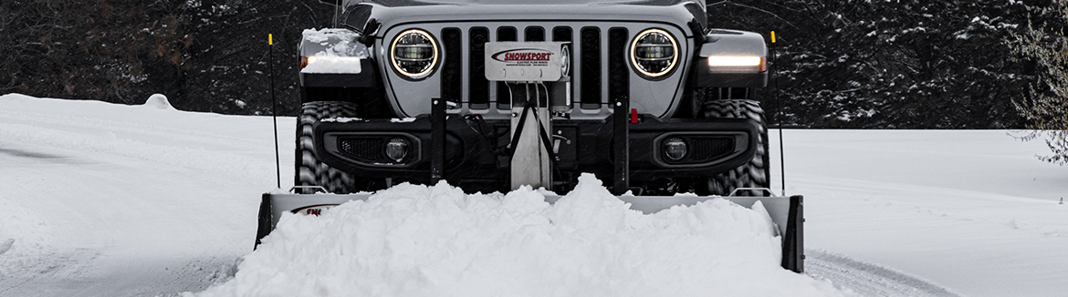 Electric Winch